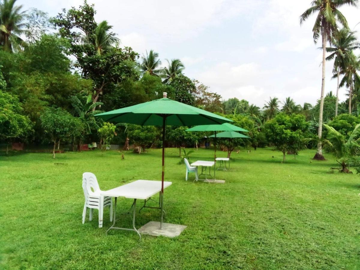 Dreamink Farm Og Myl'S Place Sorsogon Экстерьер фото