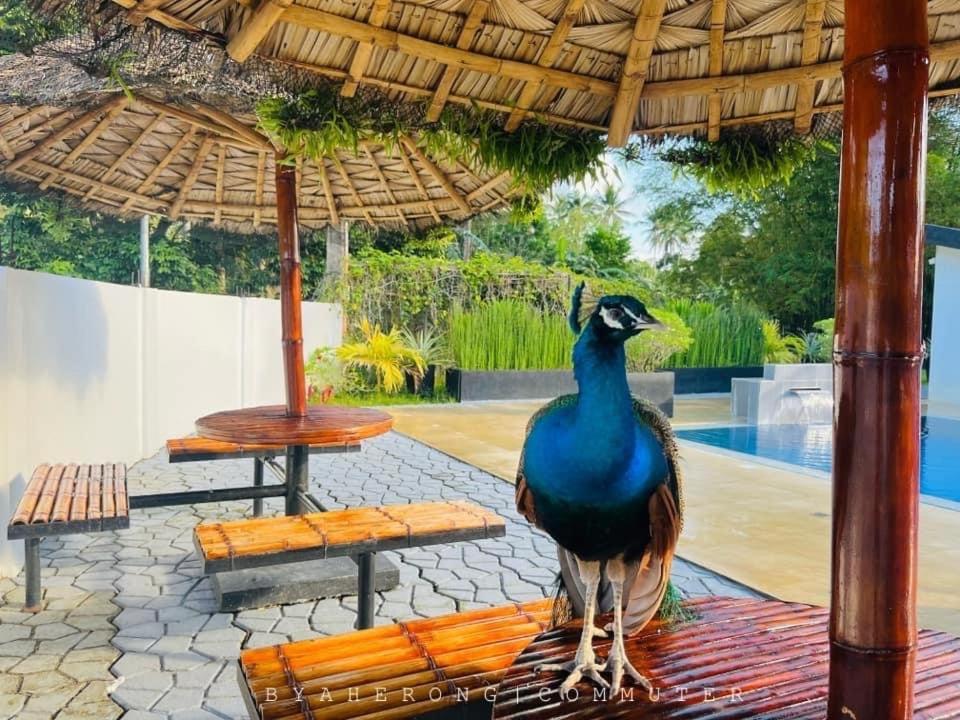 Dreamink Farm Og Myl'S Place Sorsogon Экстерьер фото